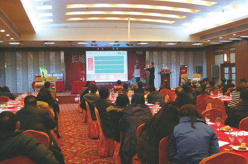 新乡礼仪庆典与模特服务及版权代理的协同发展