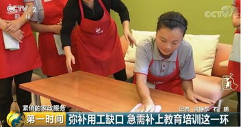 58到家力推“精品保姆”服务，精准布局以应对高端家政市场供需缺口